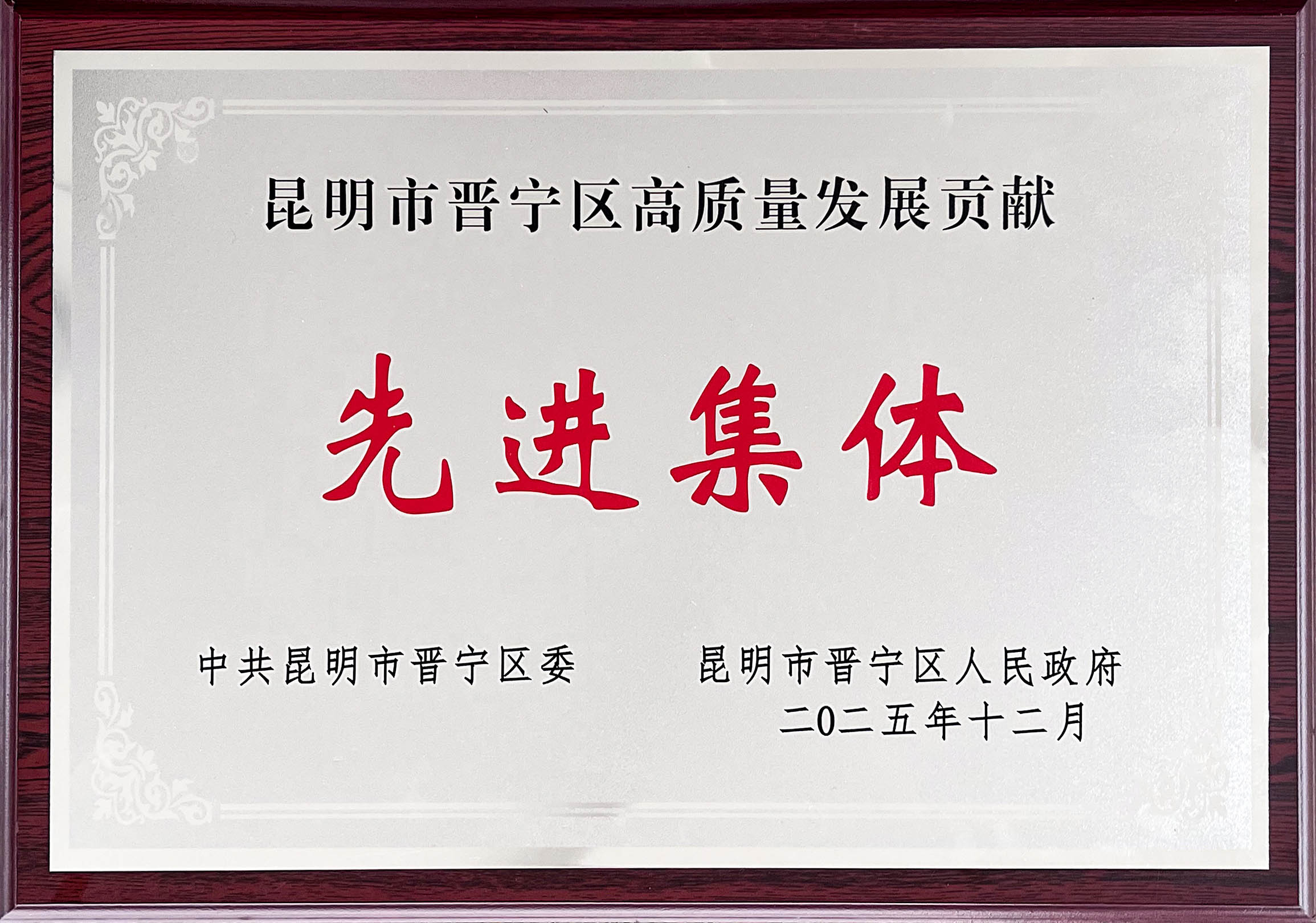 晋宁区高质量发展贡献先进集体